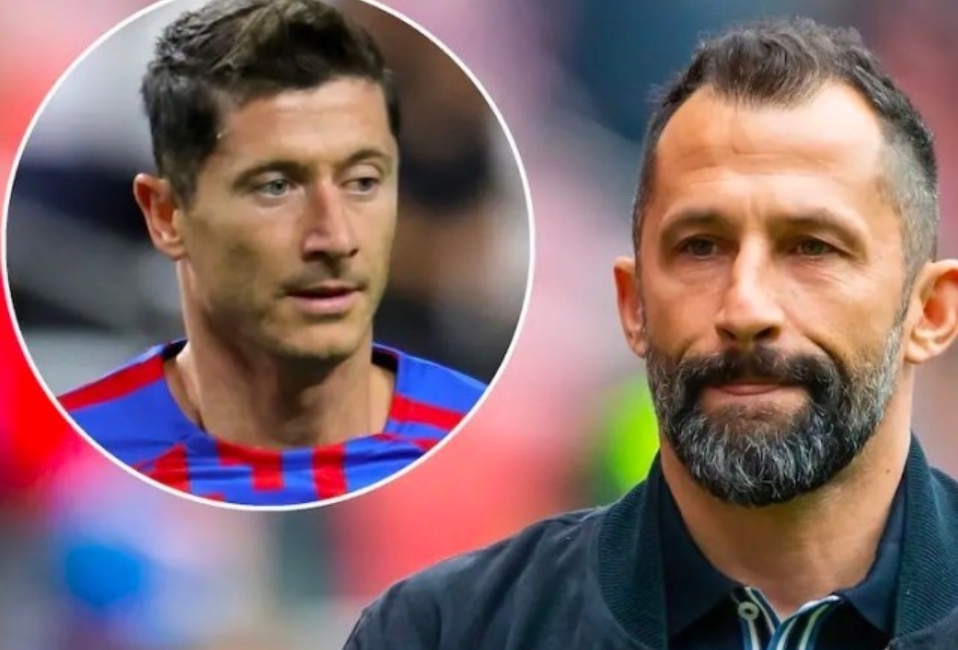 政基础的强 政基础的强