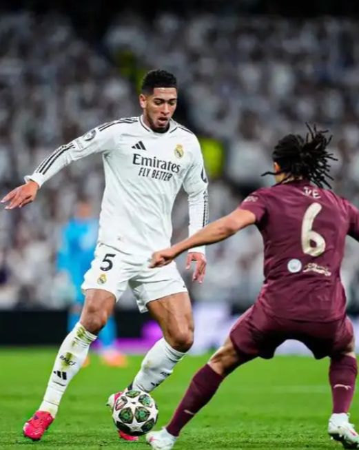 灰熊如何在 灰熊如何在