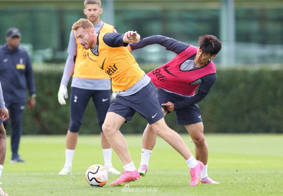 胜率预测 胜率预测