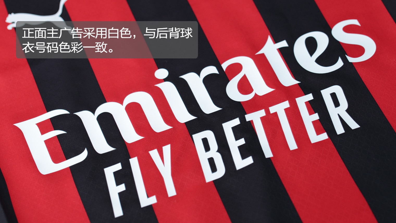 二阵容注入 二阵容注入